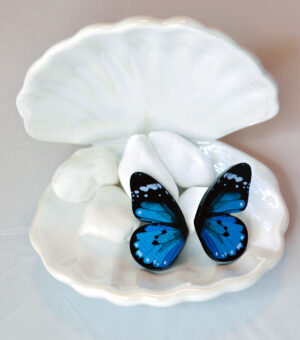 Butterfly earrings